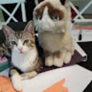 Meet your Posher, Julia